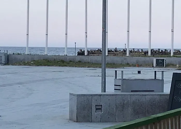 Pensiunea Scoika Steaguri Neptun