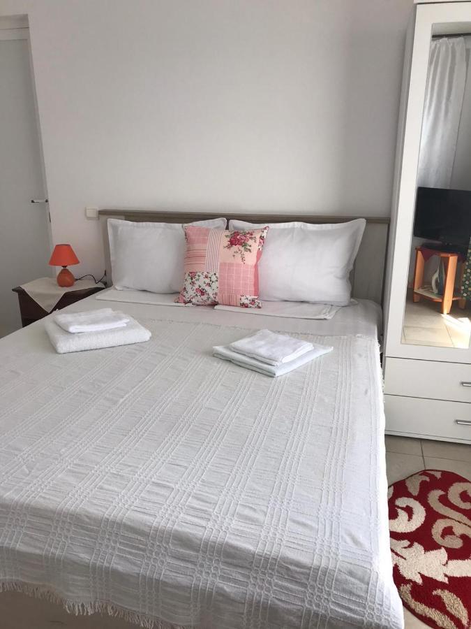 Guest house Pensiunea Scoika Steaguri