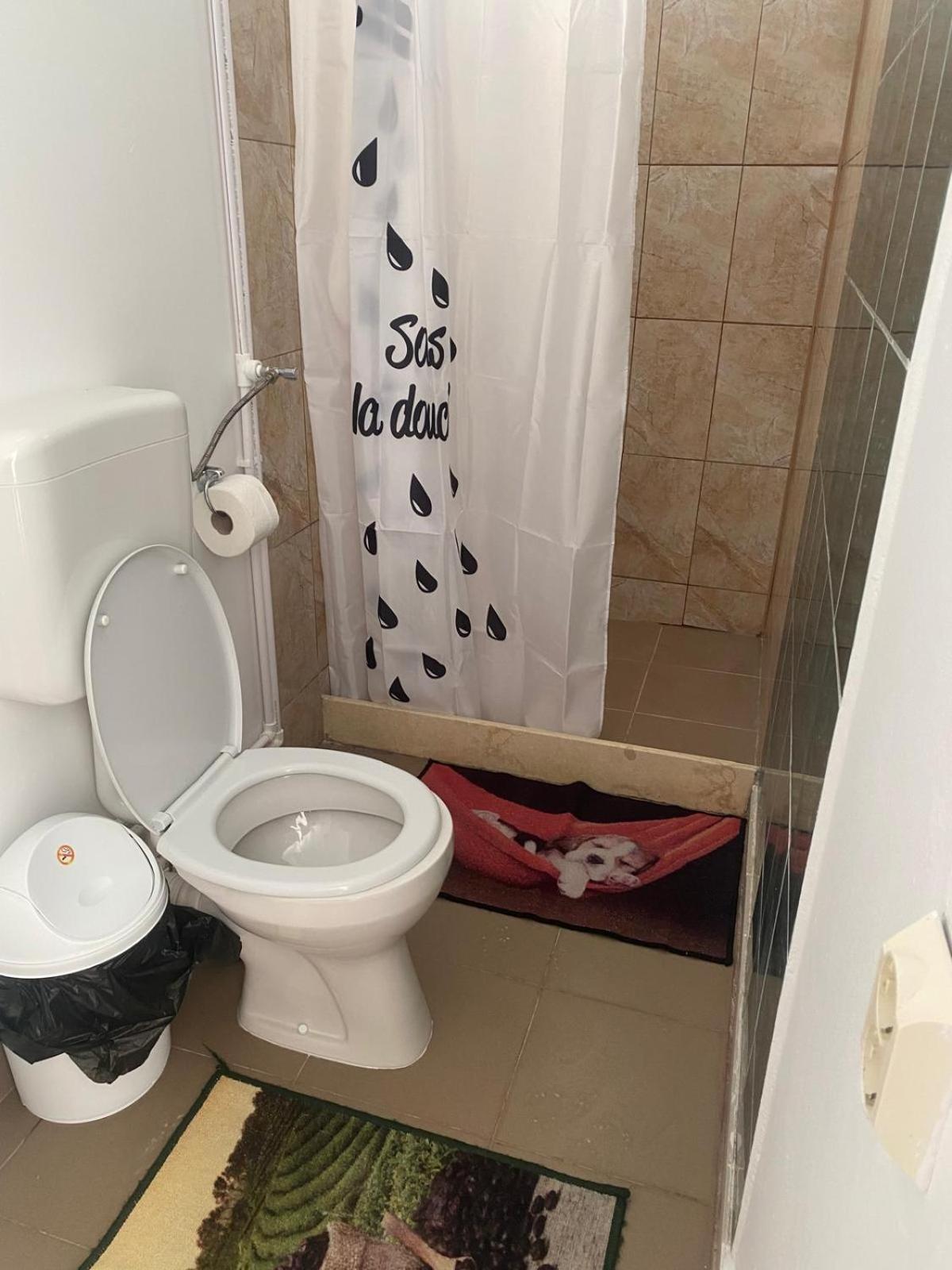 Guest house Pensiunea Scoika Steaguri Neptun